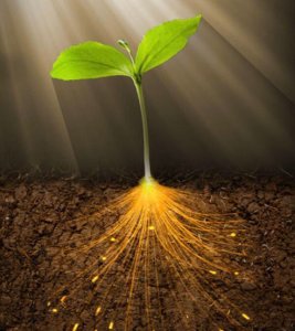 Paramagnetismo Parte 1