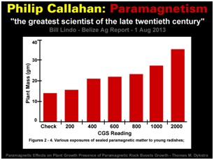 Philip Callahan-Paramagnetism