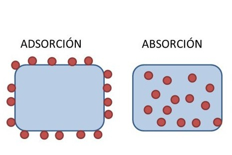 absorcion