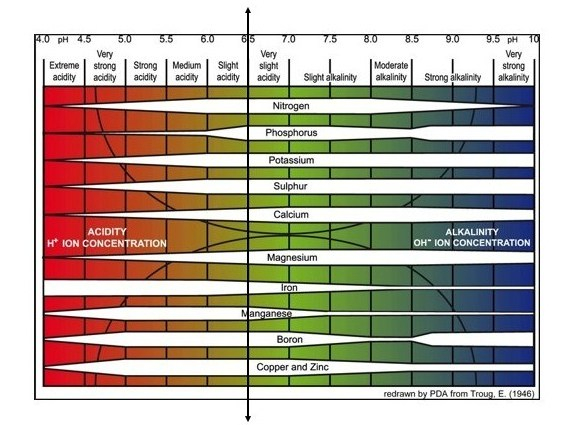 tabla de alcalinidad