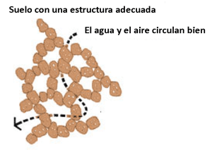 estructura 2