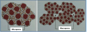 microporos