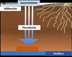 movimientodelagua1