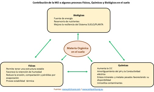 Contribución de la MO a algunos procesos Físicos, químicos y Biológicos en el suelo