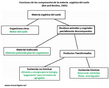 funciones de componentes de la materia organica del suelo
