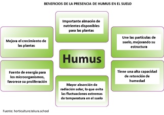 humus