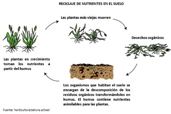 reciclaje de nutrientes en el suelo