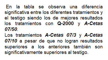 texto tabla3