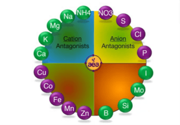 diagrama de interaciones de nutrientes