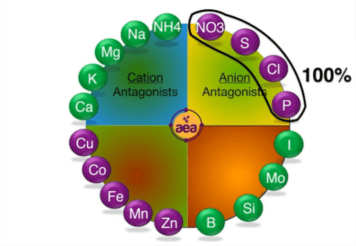 figura 4 de por que los acaros solo son atraidos por ciertos campos