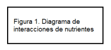letrero figura 1 Diagrama de interacciones de nutrientes