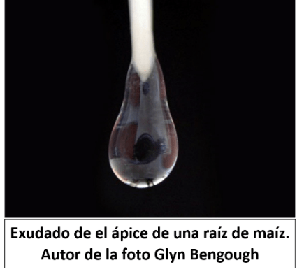 blog tema 2 imagen 3